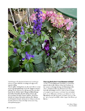 kulturnytt-20230616_024_00_00_046.pdf