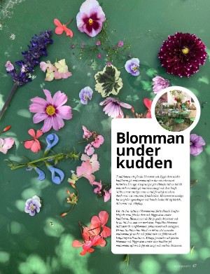 kulturnytt-20230616_024_00_00_047.pdf