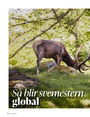 kulturnytt-20230714_028_00_00_056.pdf