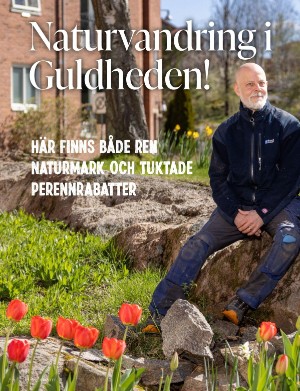 kulturnytt-20230728_030_00_00_034.pdf