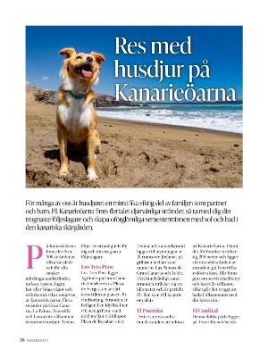 kulturnytt-20230804_031_00_00_036.pdf