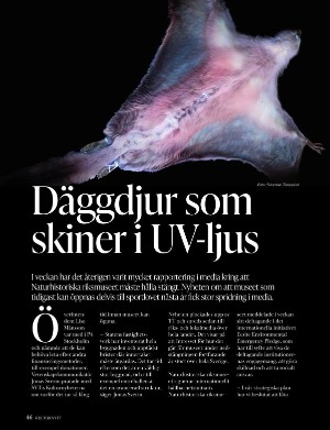 kulturnytt-20231013_041_00_00_046.pdf
