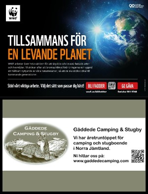 kulturnytt-20240308_010_00_00_050.pdf