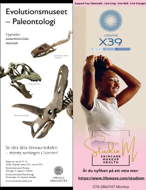 kulturnytt-20240419_016_00_00_024.pdf
