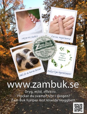 kulturnytt-20240524_021_00_00_046.pdf