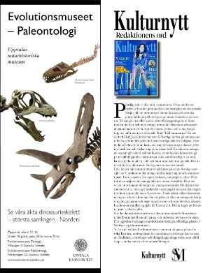kulturnytt-20240607_023_00_00_002.pdf