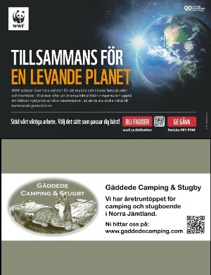 kulturnytt-20240607_023_00_00_026.pdf