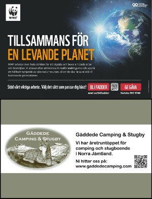 kulturnytt-20240614_024_00_00_036.pdf