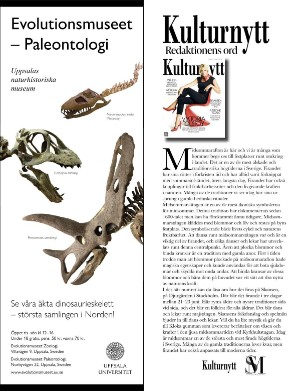 kulturnytt-20240621_025_00_00_004.pdf
