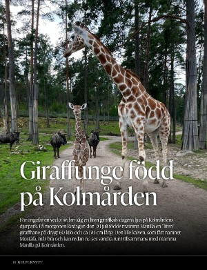 kulturnytt-20240802_031_00_00_010.pdf