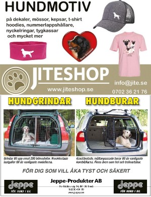 kulturnytt-20240816_033_00_00_024.pdf