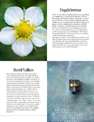 kulturnytt-20240823_034_00_00_023.pdf