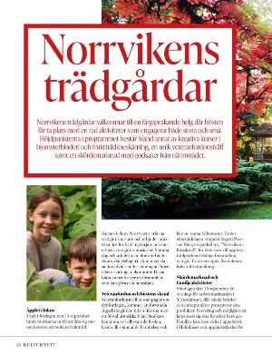 kulturnytt-20240913_037_00_00_024.pdf