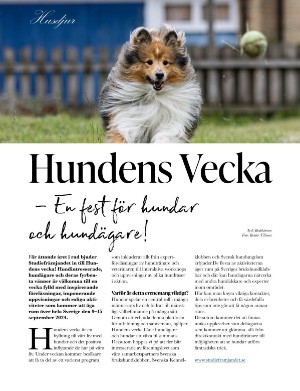 kulturnytt-20240913_037_00_00_048.pdf