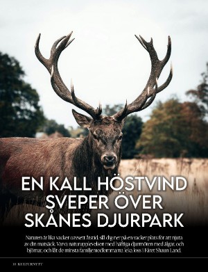 kulturnytt-20241025_043_00_00_010.pdf