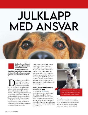 kulturnytt-20241108_045_00_00_030.pdf