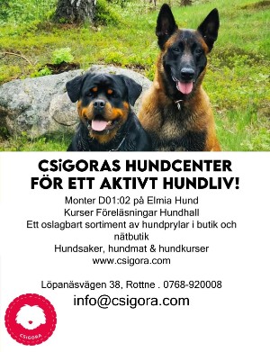 kulturnytt-20250418_016_00_00_045.pdf