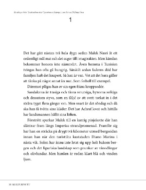 kulturnytt-20250606_023_00_00_038.pdf