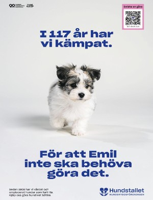 kulturnytt-20250620_025_00_00_035.pdf
