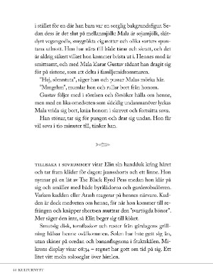 kulturnytt-20250620_025_00_00_044.pdf