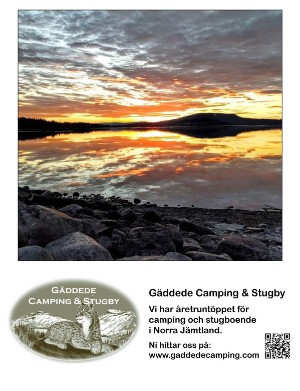 kulturnytt-20250620_025_00_00_045.pdf