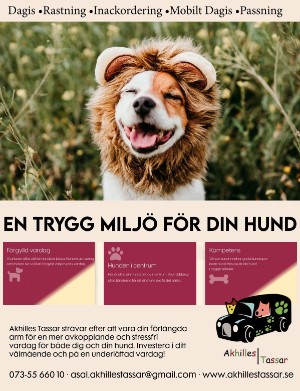 kulturnytt-20250627_026_00_00_038.pdf