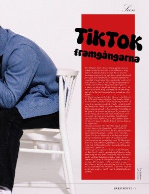 kulturnytt-20251121_047_00_00_011.pdf