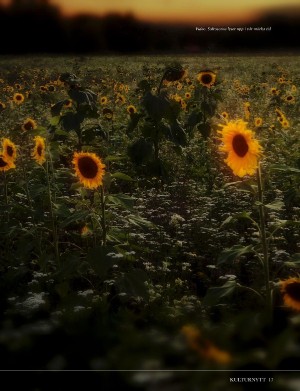 kulturnytt-20251128_048_00_00_017.pdf