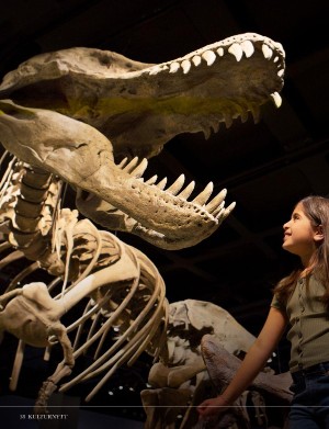 kulturnytt-20251226_052_00_00_038.pdf