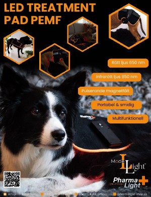 kulturnytt-20260130_005_00_00_047.pdf