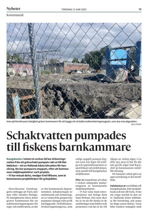 kungsbackaposten-20250612_000_00_00_014.pdf