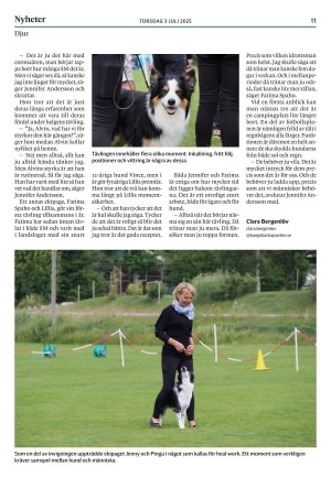 kungsbackaposten-20250703_000_00_00_011.pdf