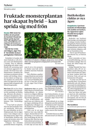 kungsbackaposten-20250724_000_00_00_011.pdf