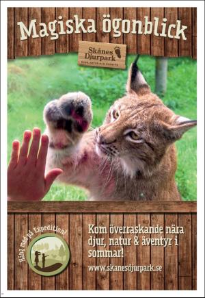 kvallsposten-20180721_000_00_00_023.pdf