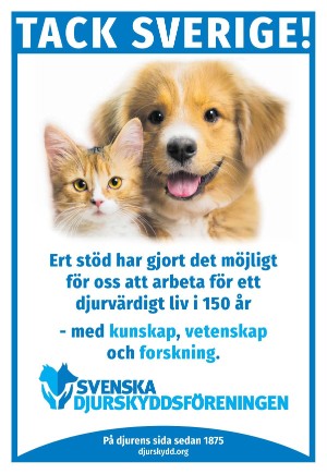 kvallsposten-20251115_000_00_00_039.pdf