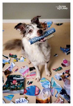 kvallsposten-20260228_000_00_00_037.pdf