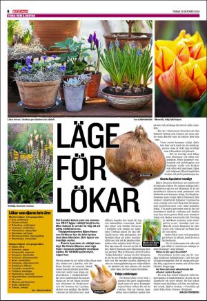 kvallsposten_bilag-20161025_000_00_00_006.pdf