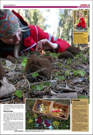 kvallsposten_bilag-20161025_000_00_00_015.pdf