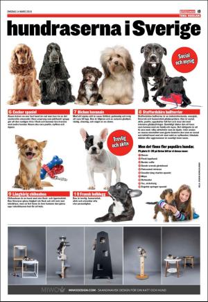 kvallsposten_bilag-20180314_000_00_00_013.pdf