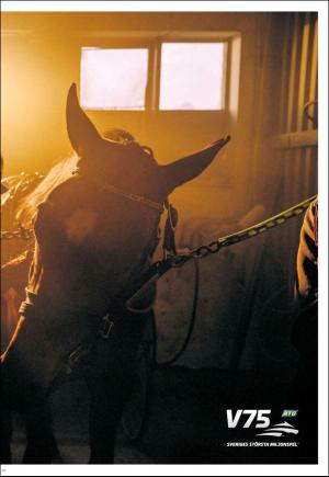 kvallsposten_bilag-20190510_000_00_00_011.pdf