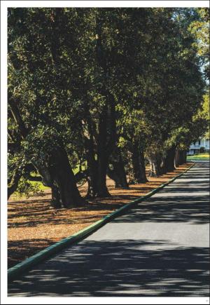 kvallsposten_bilag-20201112_000_00_00_016.pdf