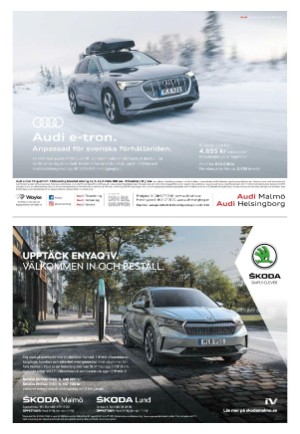 kvallsposten_bilag-20210311_000_00_00_030.pdf