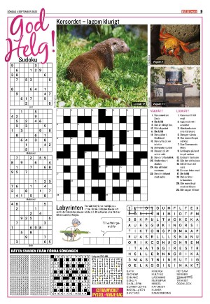 kvallsposten_bilag-20220904_000_00_00_009.pdf