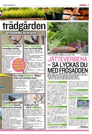 kvallsposten_bilag-20230205_000_00_00_007.pdf