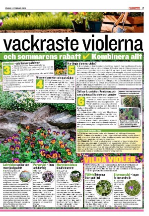 kvallsposten_bilag-20230212_000_00_00_007.pdf