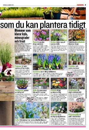 kvallsposten_bilag-20230312_000_00_00_009.pdf