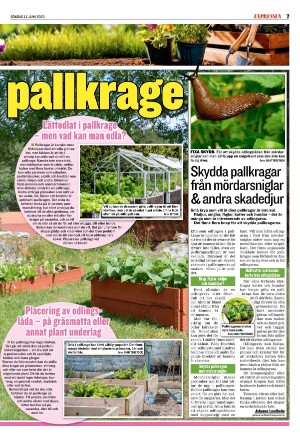 kvallsposten_bilag-20230611_000_00_00_007.pdf