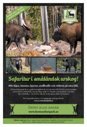 kvallsposten_sport-20210702_000_00_00_012.pdf