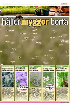 kvallsposten_sport-20230723_000_00_00_009.pdf