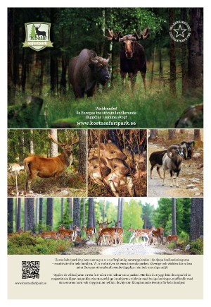kvallsposten_sport-20230805_000_00_00_005.pdf